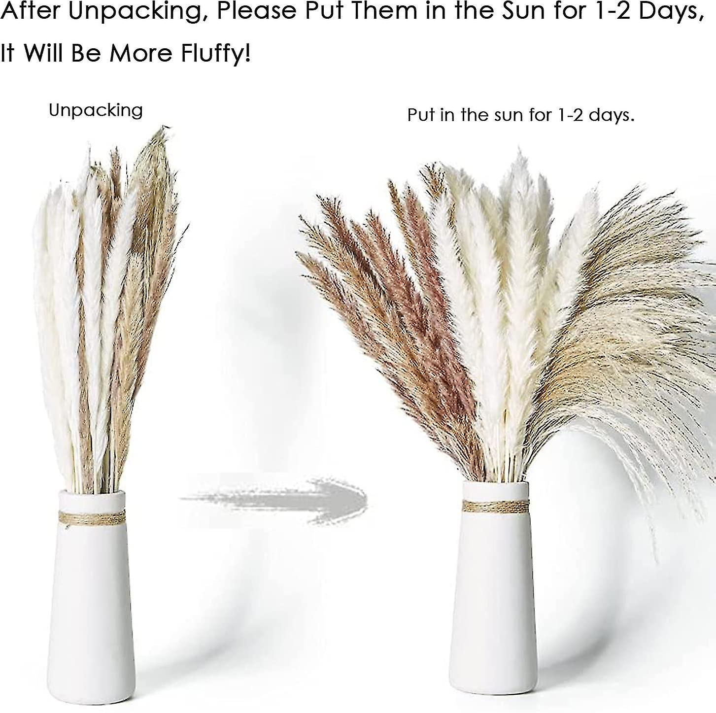 Dried Pampas Grass， 60 Pcs Natural Pampas Grass With 3 Colors