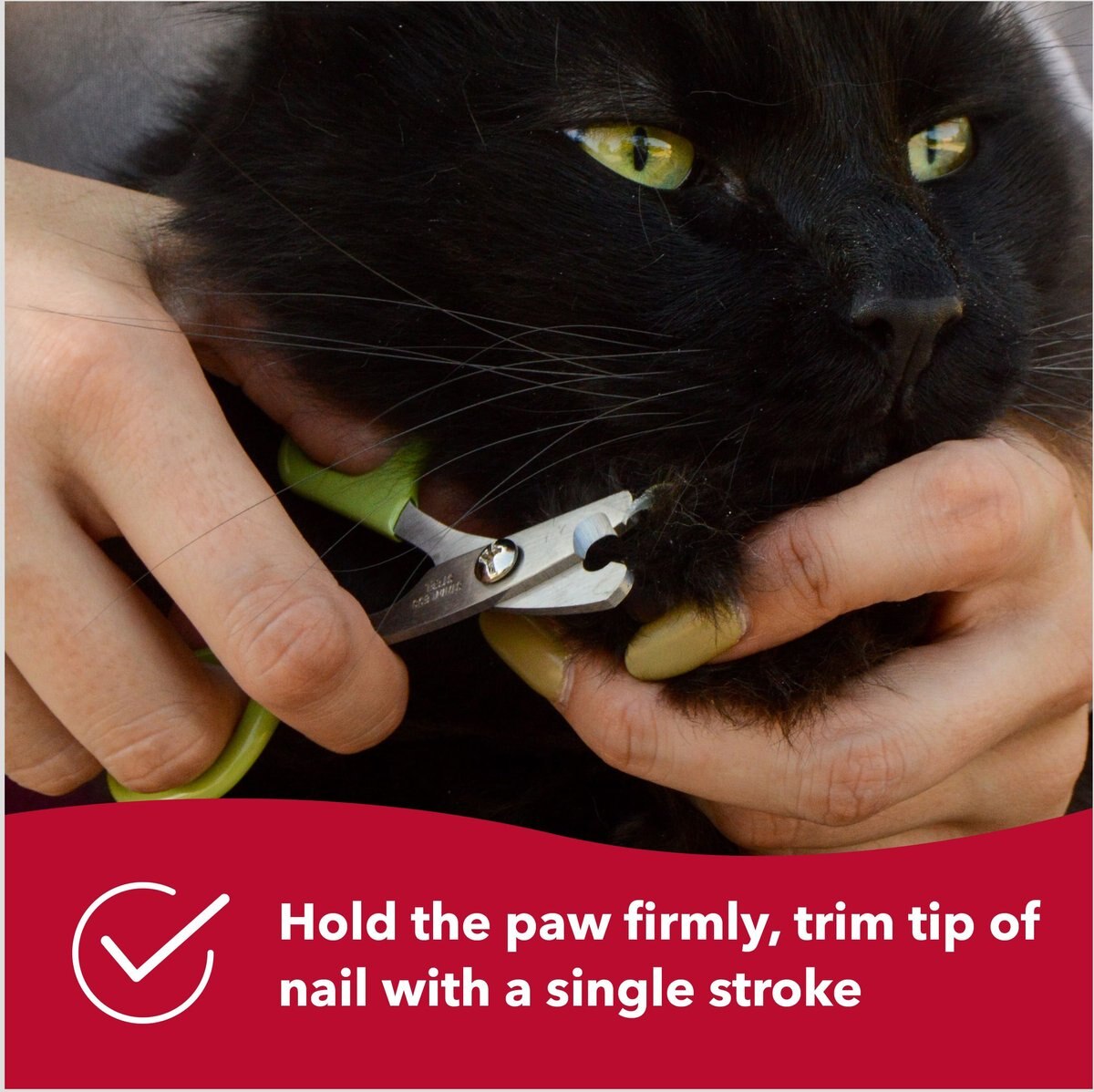 Safari Nail Trimmer for Cats