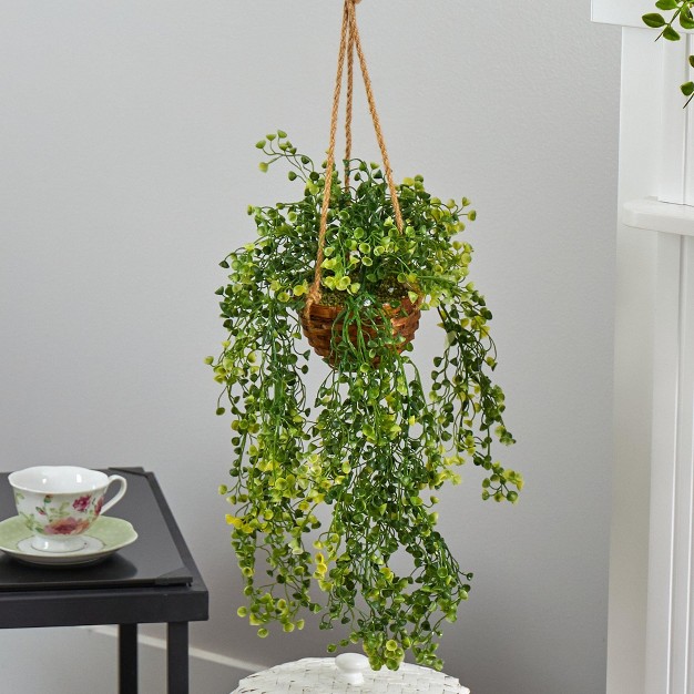 Nearly Natural 20-in Baby Tear Artificial Plant In Hanging Basket