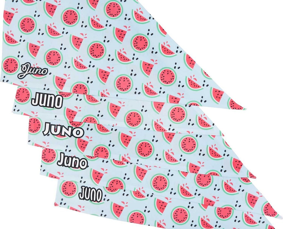 Frisco Watermelons Personalized Dog and Cat Bandana