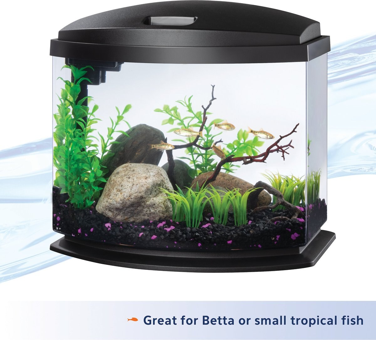 Aqueon LED MiniBow SmartClean Fish Aquarium Kit