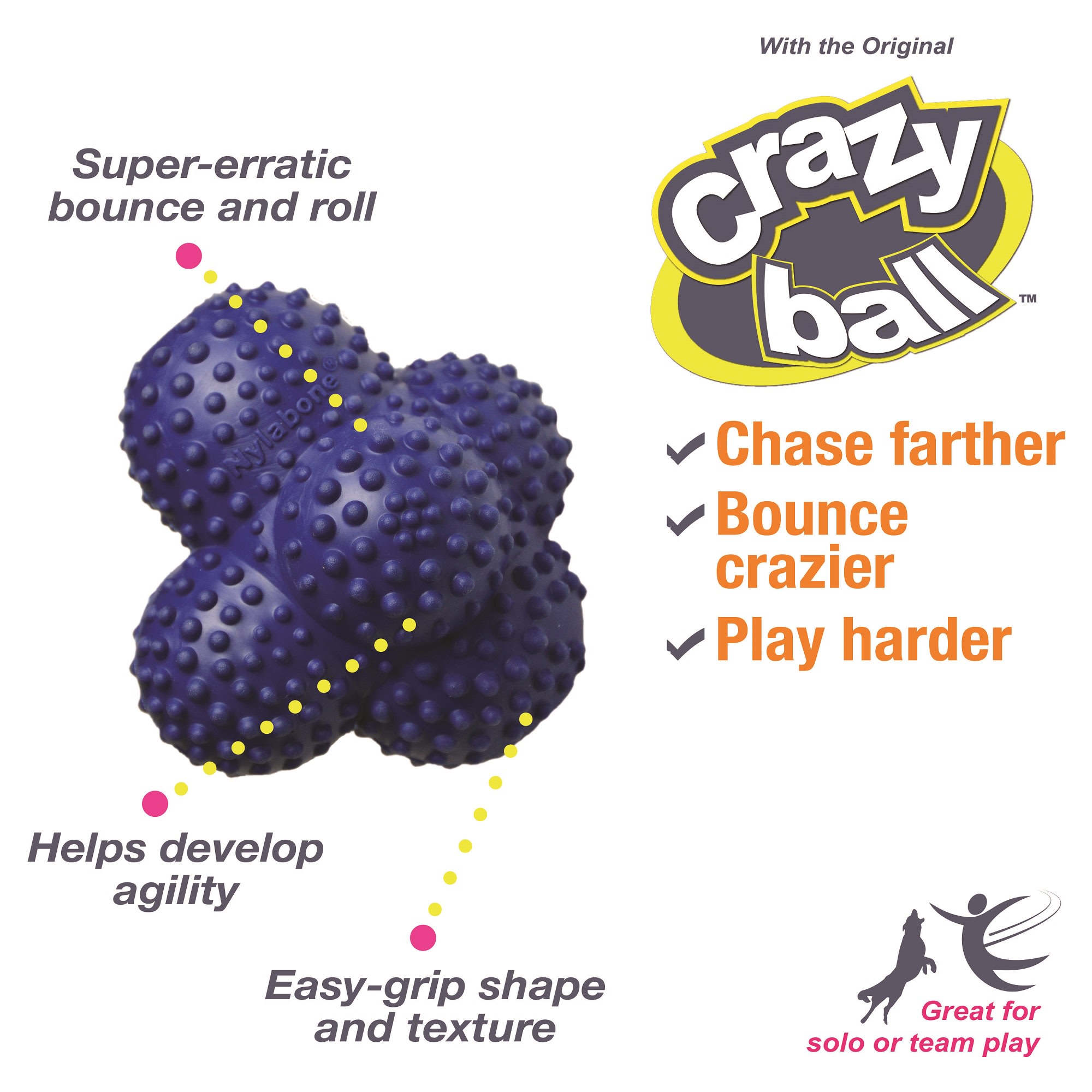 Nylabone Power Play Crazy Ball Dog Toy， Large