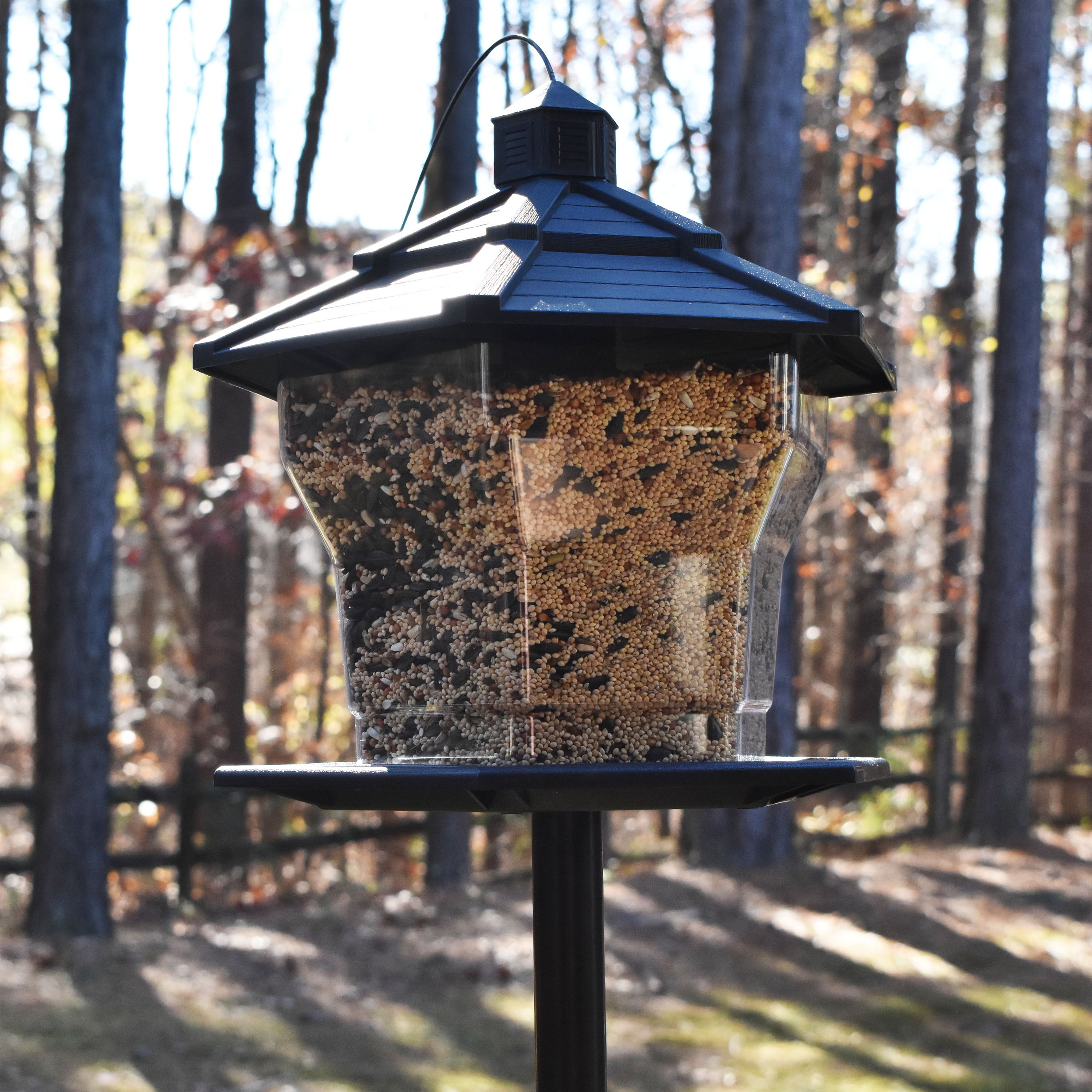 Pennington Black Plastic Hopper Cardinal Wild Bird Feeder， 6 lb. Capacity