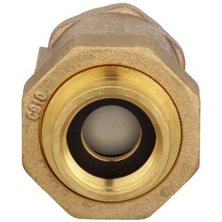 Zurn 34 in. Female Union Inlet x 34 in. Female Outlet 700XL Dual Check Valve 34UFMX34F-700XL