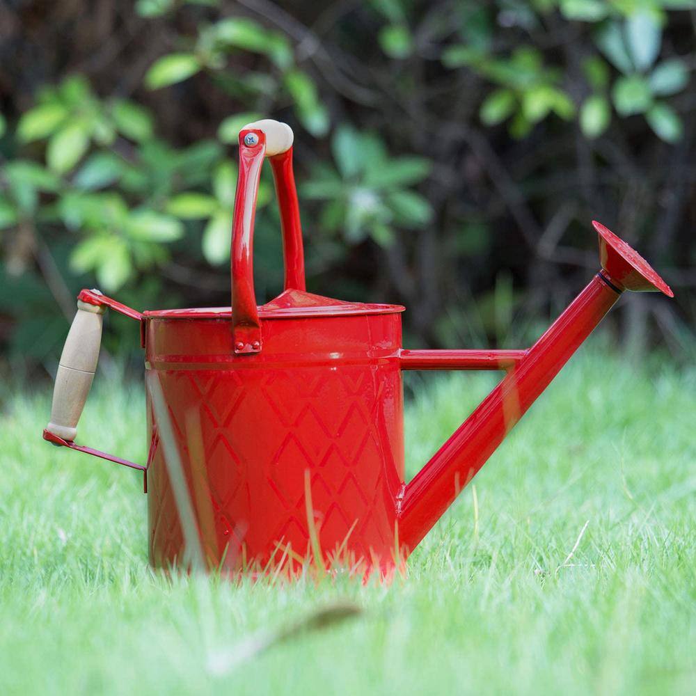 Cubilan 1 Gal. Watering Can Decorative Farmhouse Watering Can Red Watering Can Metal Watering Can with Removable Spout B083DSG87D