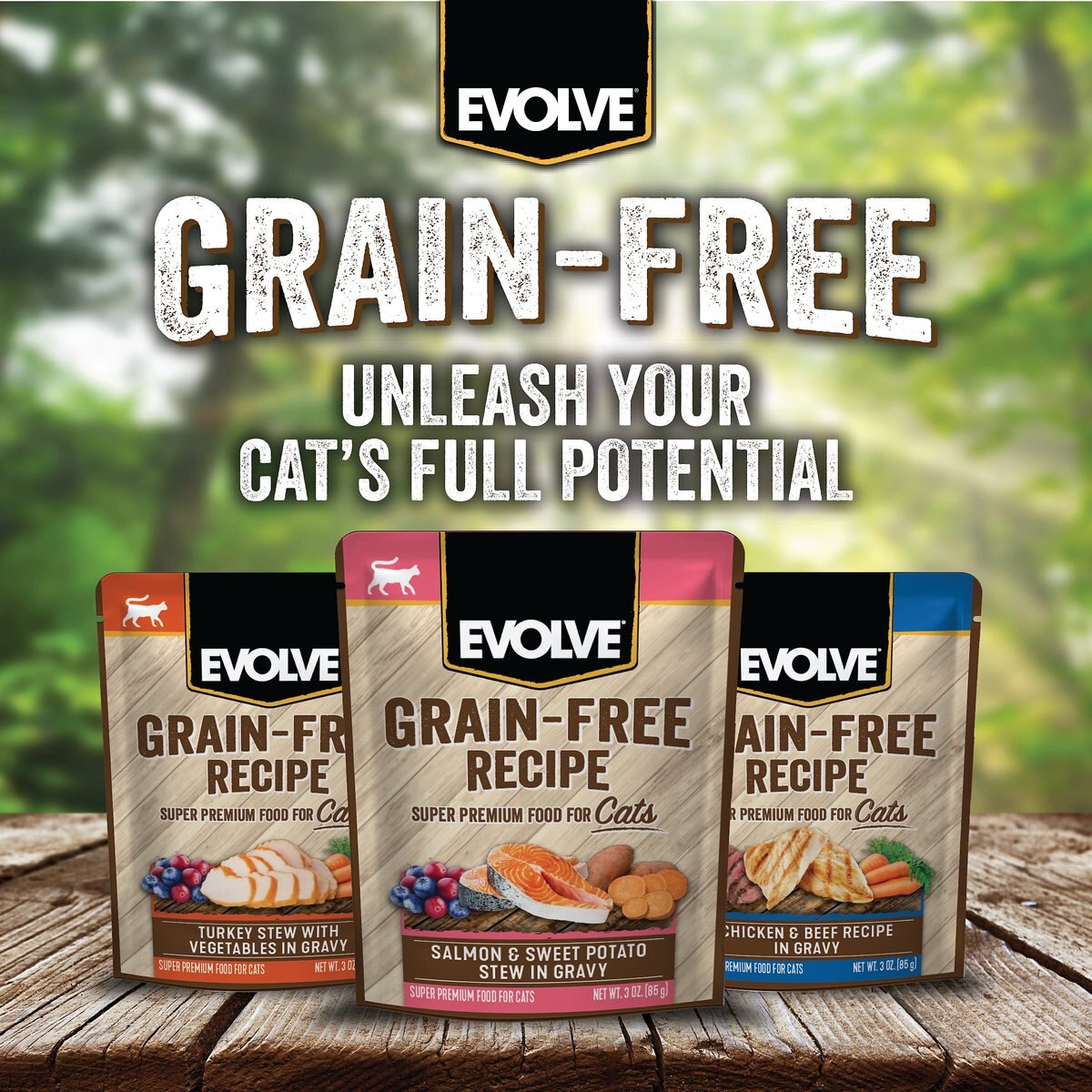 Evolve Salmon and Sweet Potato Stew in Gravy Grain-Free Wet Pouch Cat Food， 3-oz pouch， case of 24