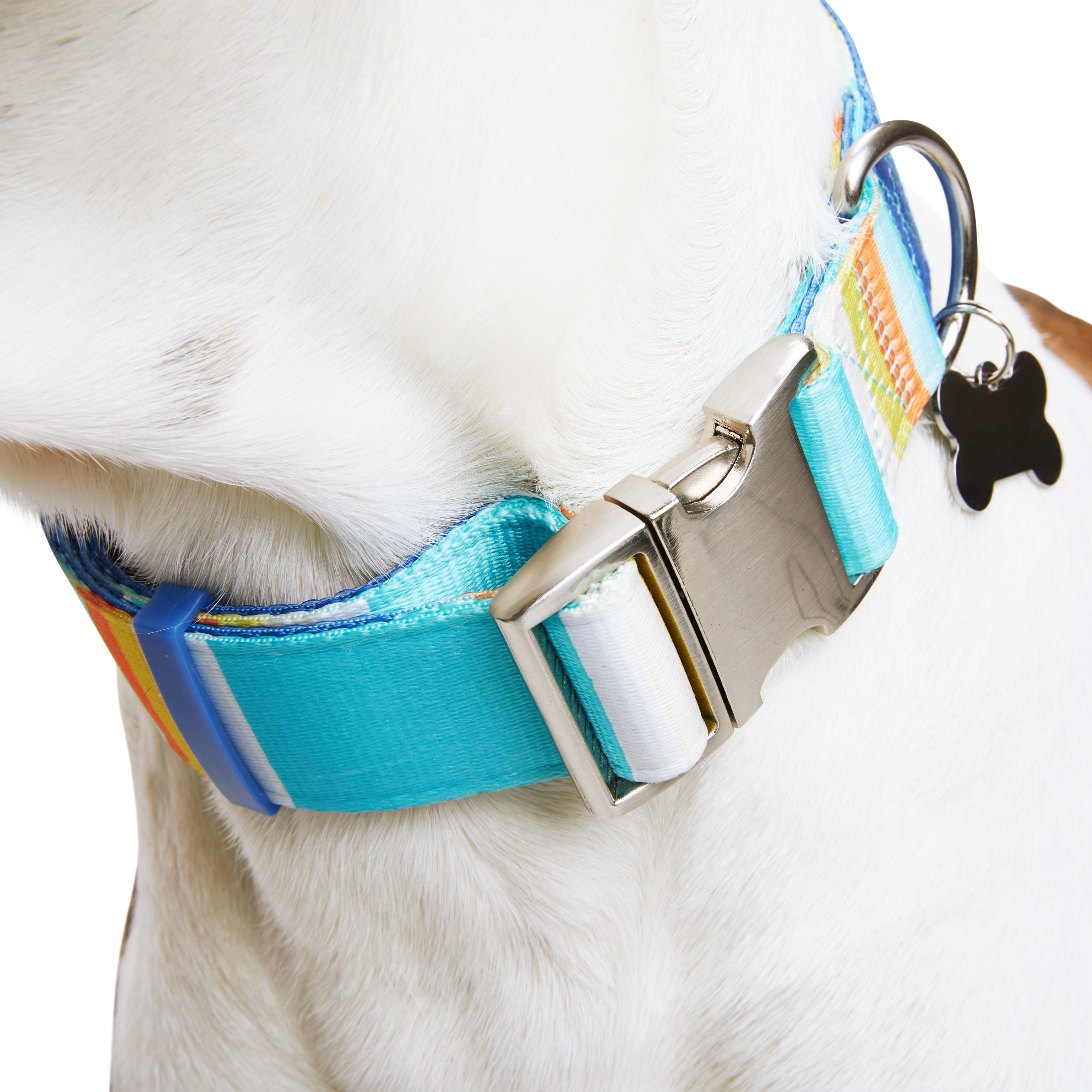 YOULY Blue/Orange Big Dog Collar， X-Large/XX-Large