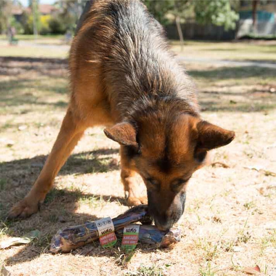 WAG Kangaroo Large Bone Dog Treat