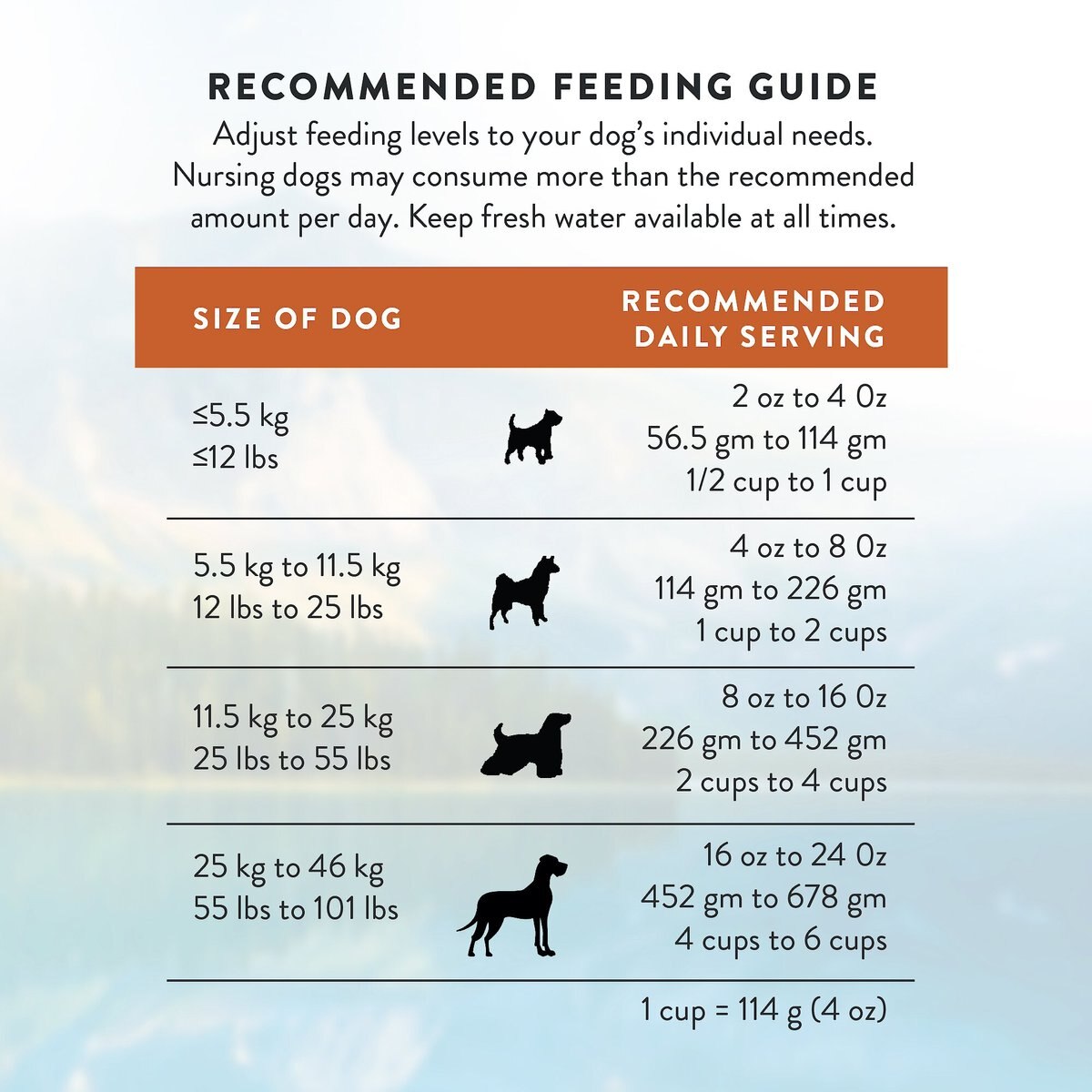 Addiction Grain-Free Wild Kangaroo and Apples Dry Dog Food