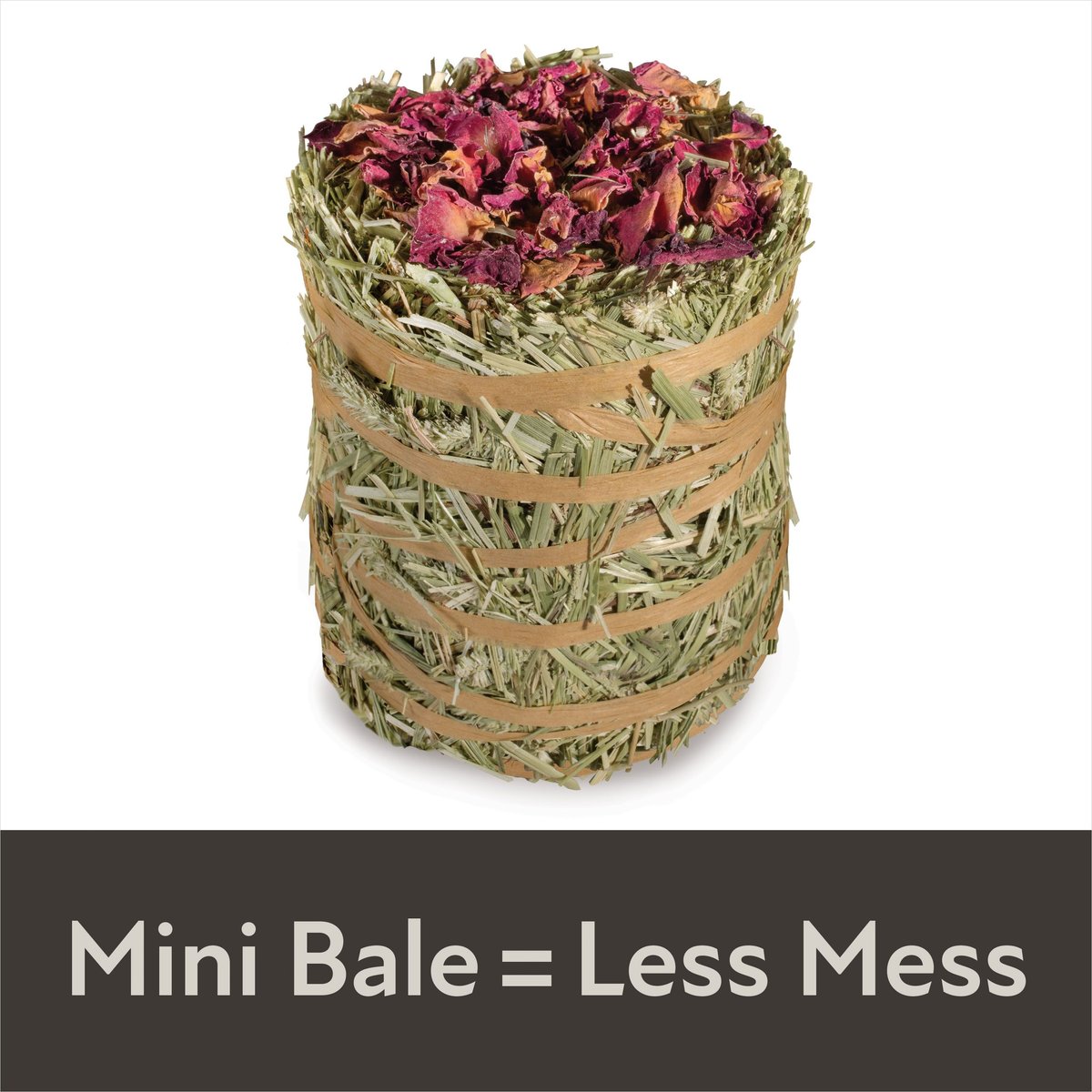 Field+Forest by Kaytee Mini Hay Bales Rose Small Pet Hay， 3.5-oz bag