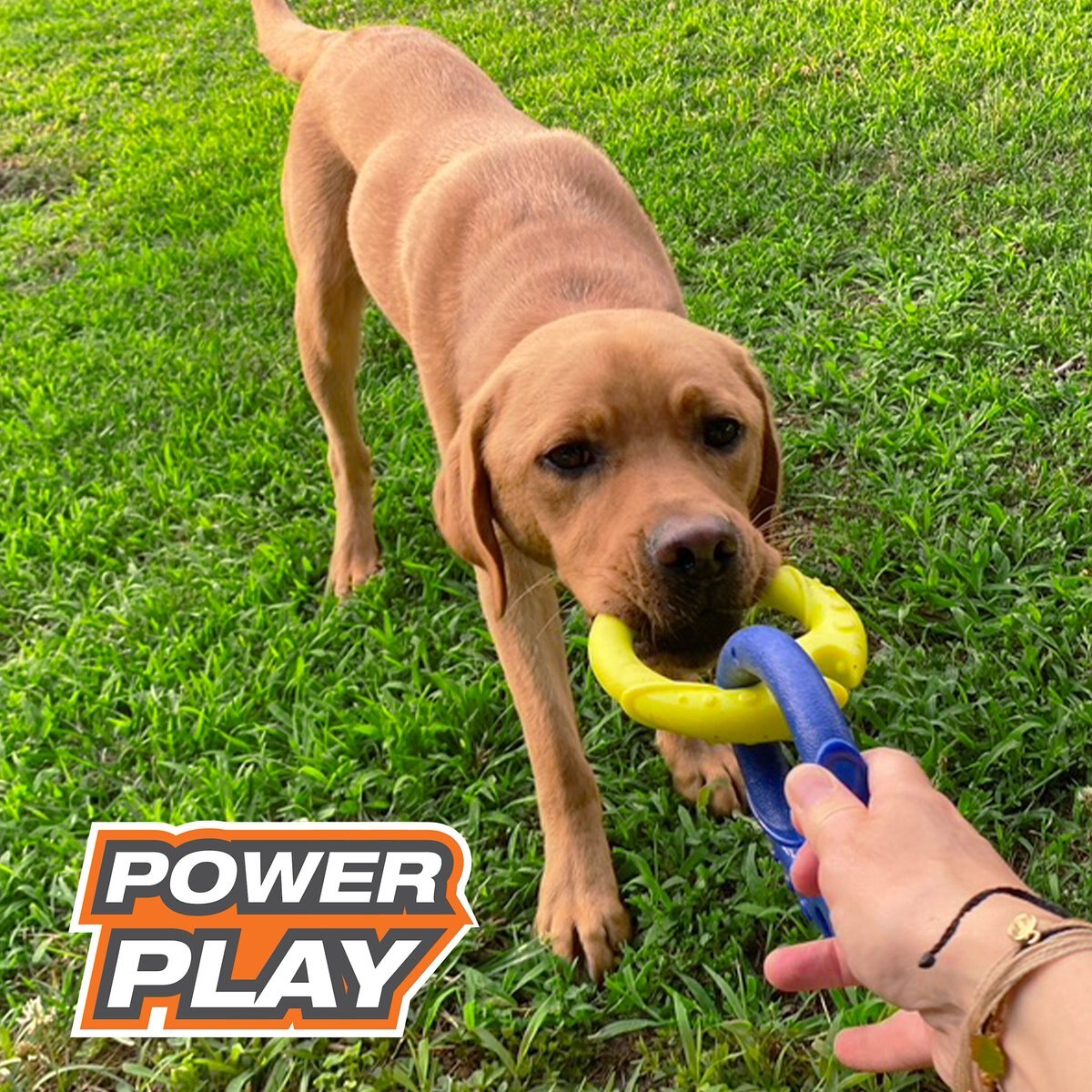 Nylabone Power Play Tug-a-Ball All-in-1 Tug and Ball Dog Toy