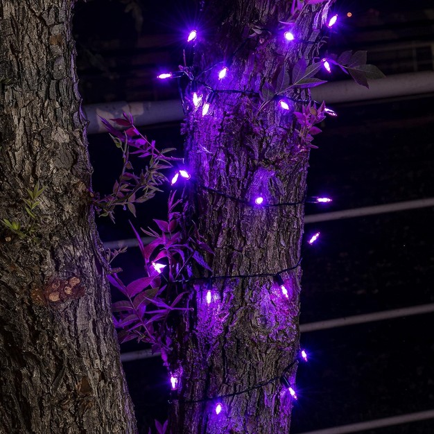 Joiedomi 2 Sets Of 50 Purple String Lights