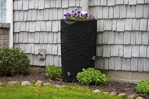 Good Ideas Imp-L65-Blk Impressions Palm Rain Saver， 65 Gallon， Black