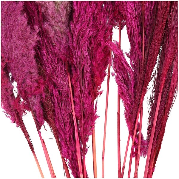 Pink Dried Plant Pampas Home Decor Natural Foliage with Long Stems