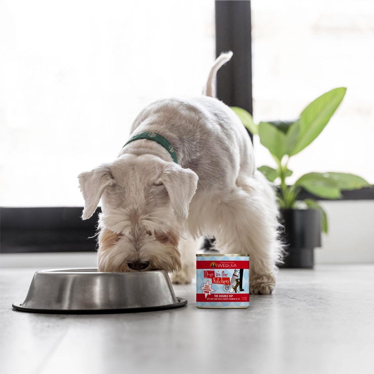 Weruva Dogs in the Kitchen The Double Dip with Beef and Wild Caught Salmon Au Jus Grain-Free Canned Dog Food