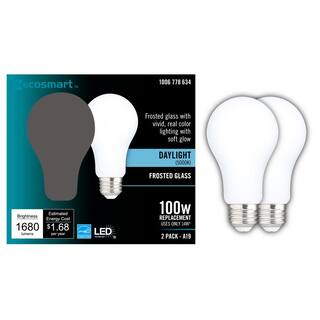 EcoSmart 100-Watt Equivalent A19 Dimmable CEC Frosted Glass Filament LED Light Bulb in Daylight (2-Pack) 11FFA19100WT203