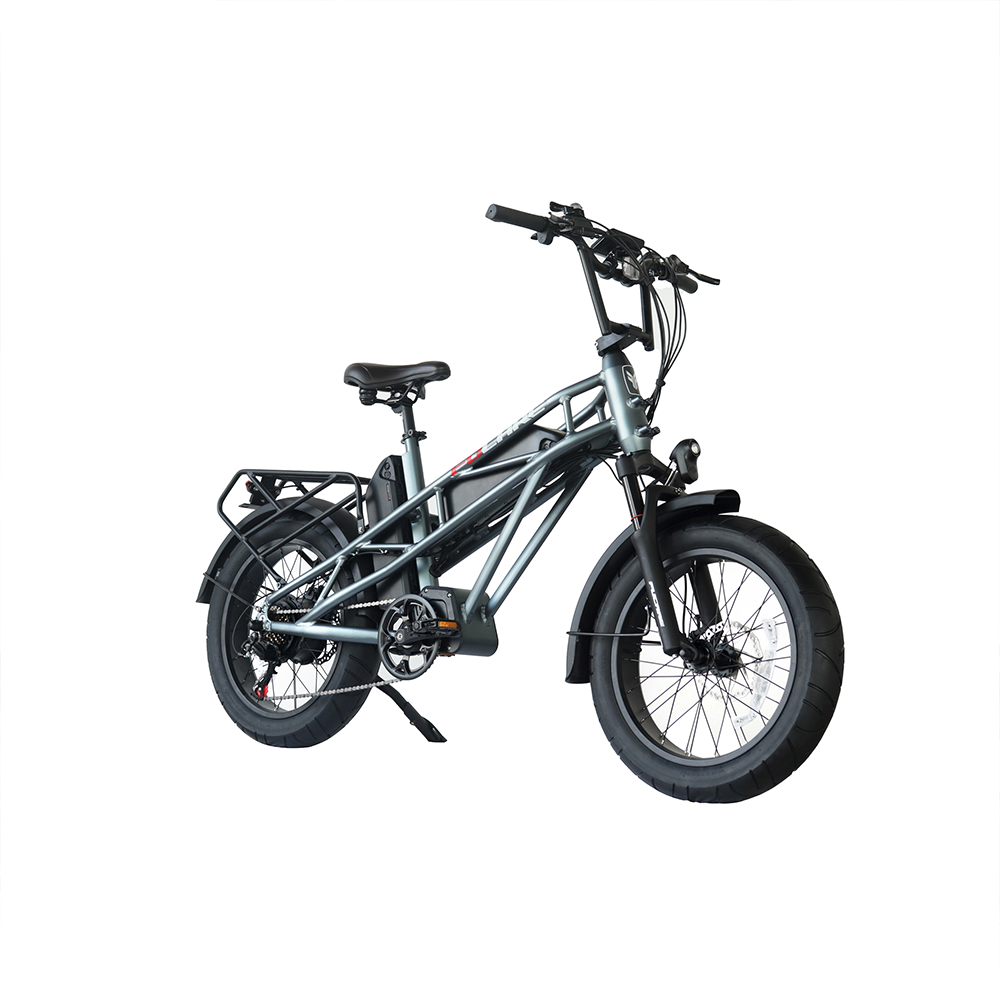 Dual Motor Ebike Big Battery Electric Cycle Fat Tire Full Suspension Electric Bike 48V 750w Electric Mountain