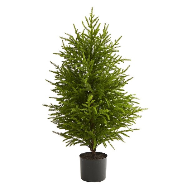 40 Norfolk Island Pine Natural Look Tree