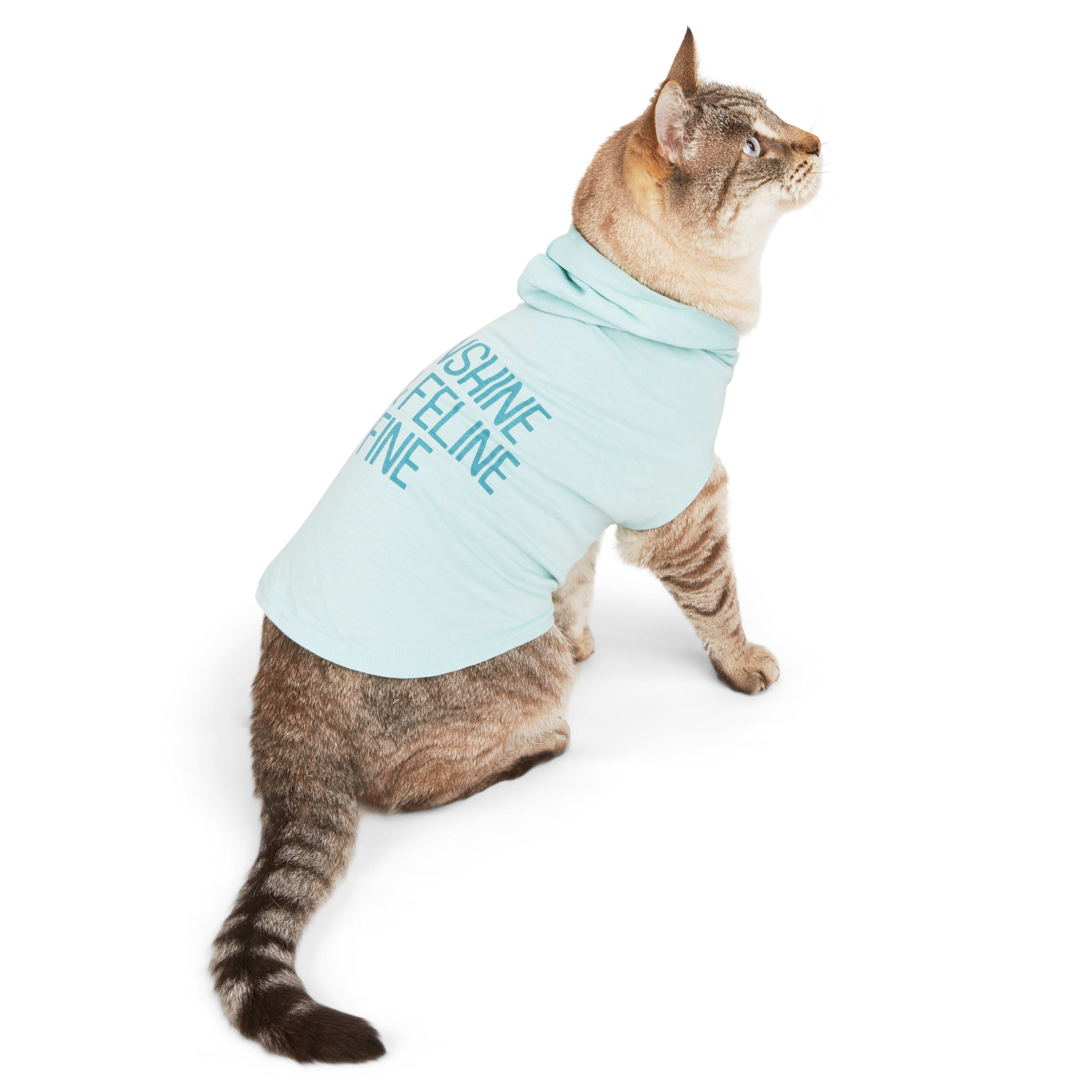 YOULY Cat Sunshine Hoodie， Small/Medium