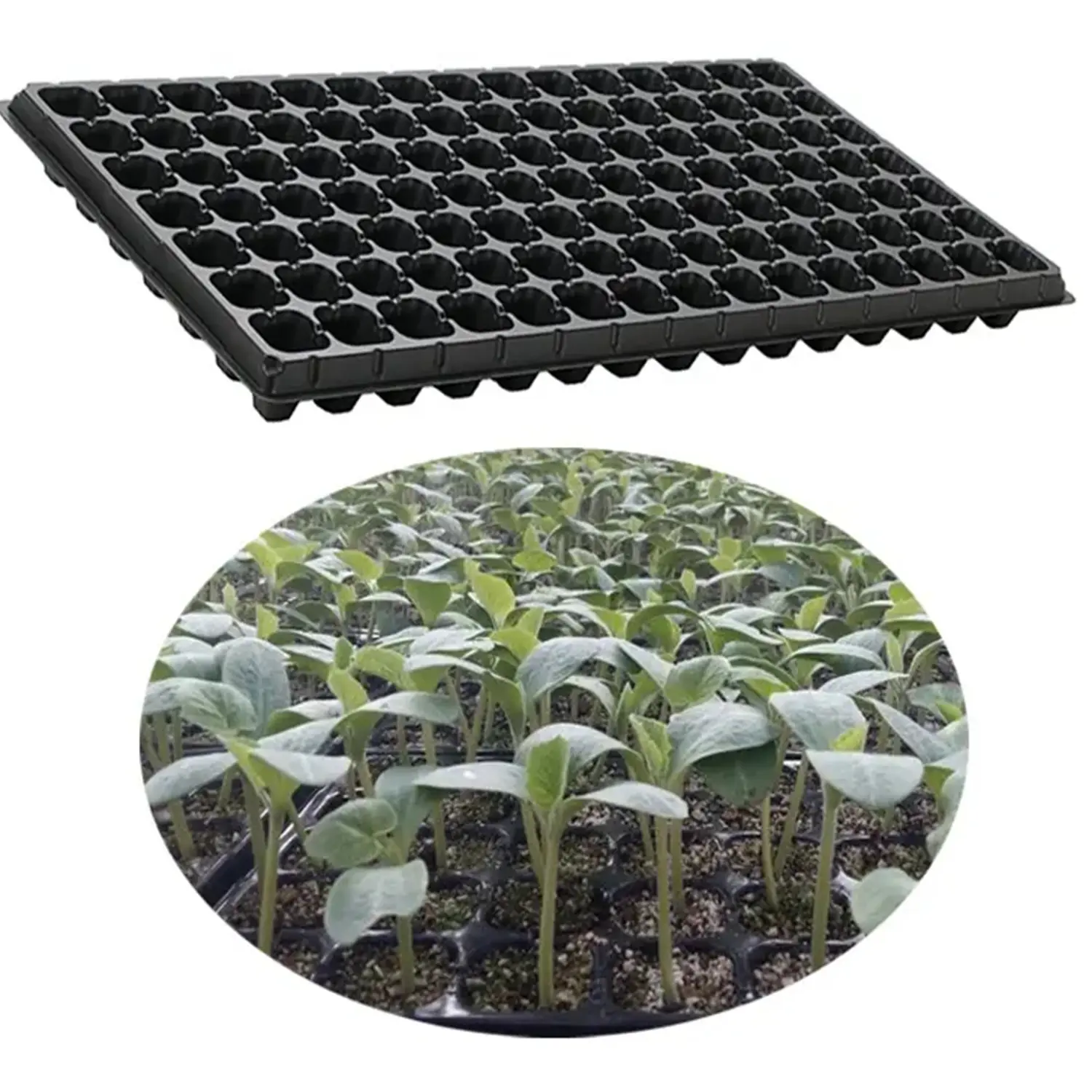 Swellder supply vacuum ABS plastic products reusable  white planting tray