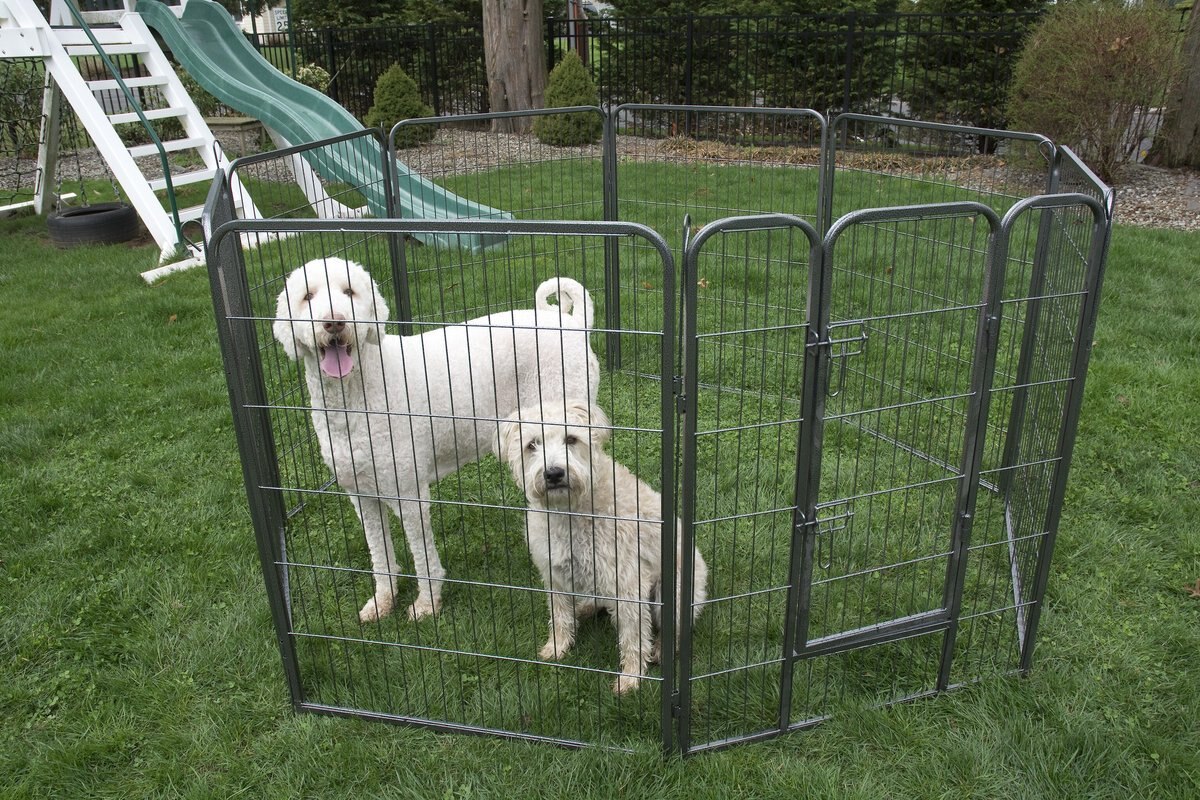 Iconic Pet Heavy Duty Wire Dog Playpen