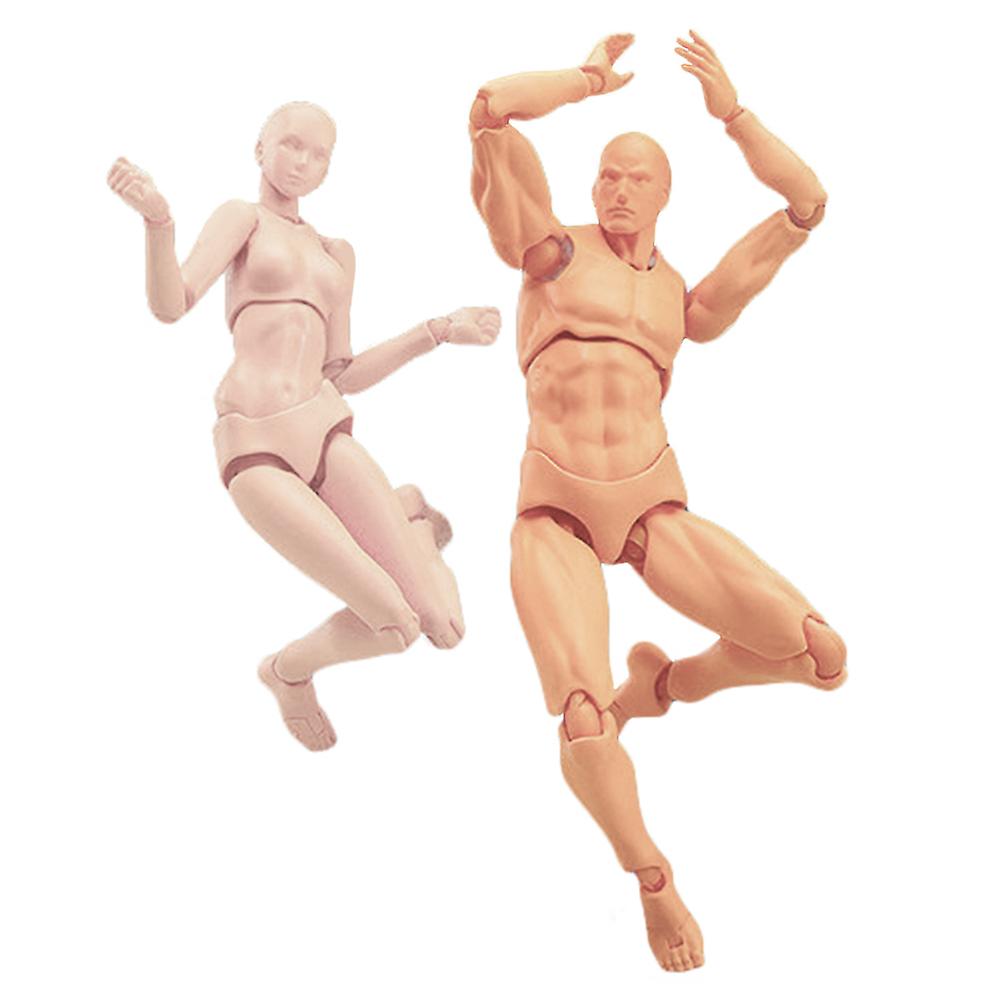 Articulated Mannequins Human Body Models PVC Movable Action Figure Models Gifts