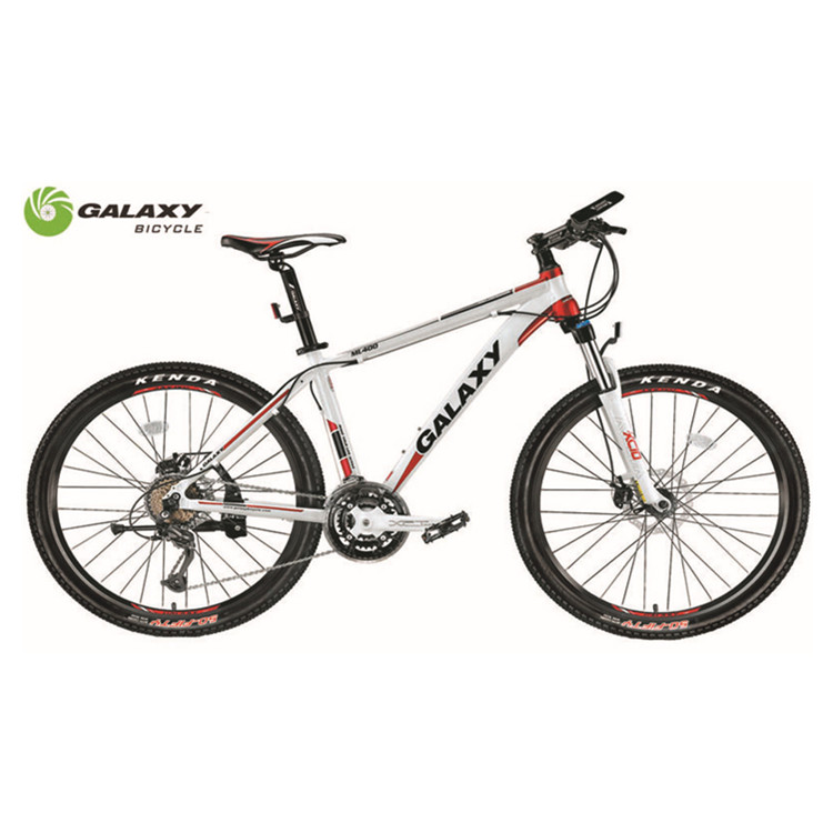 2021 New arrival alloy frame fat tire mtb cycle mountain bikes