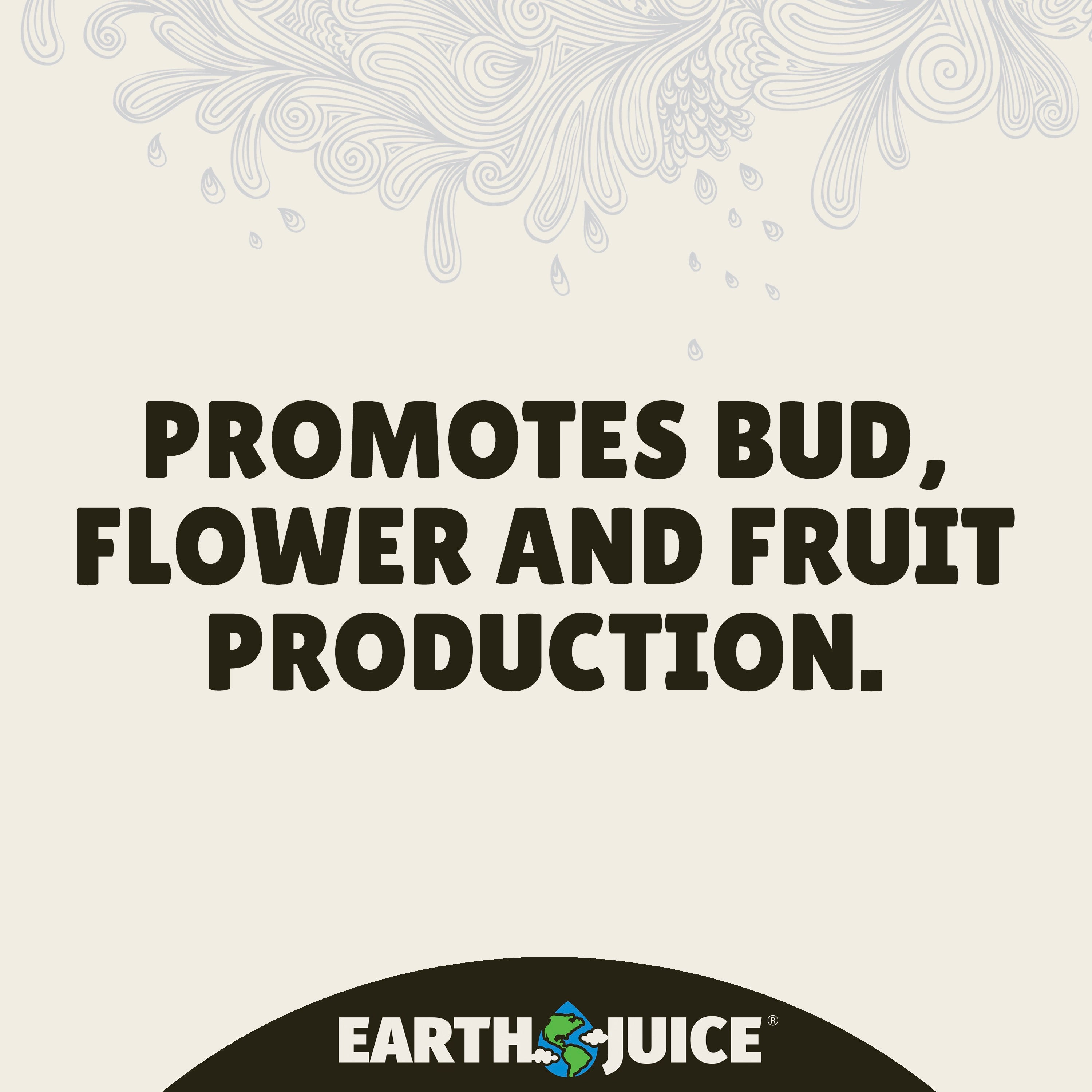 Earth Juice Elements Bloom Plant Food， 0-16-16 Fertilizer， 32 oz