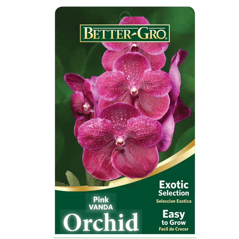 Better-Gro 4 in. Orchid Pink Vanda Package Plant Plastic Basket 20329