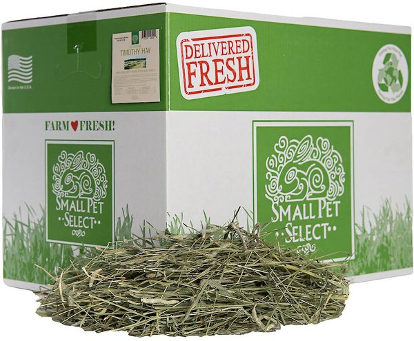 Small Pet Select First Cut Timothy Hay Small Animal Food