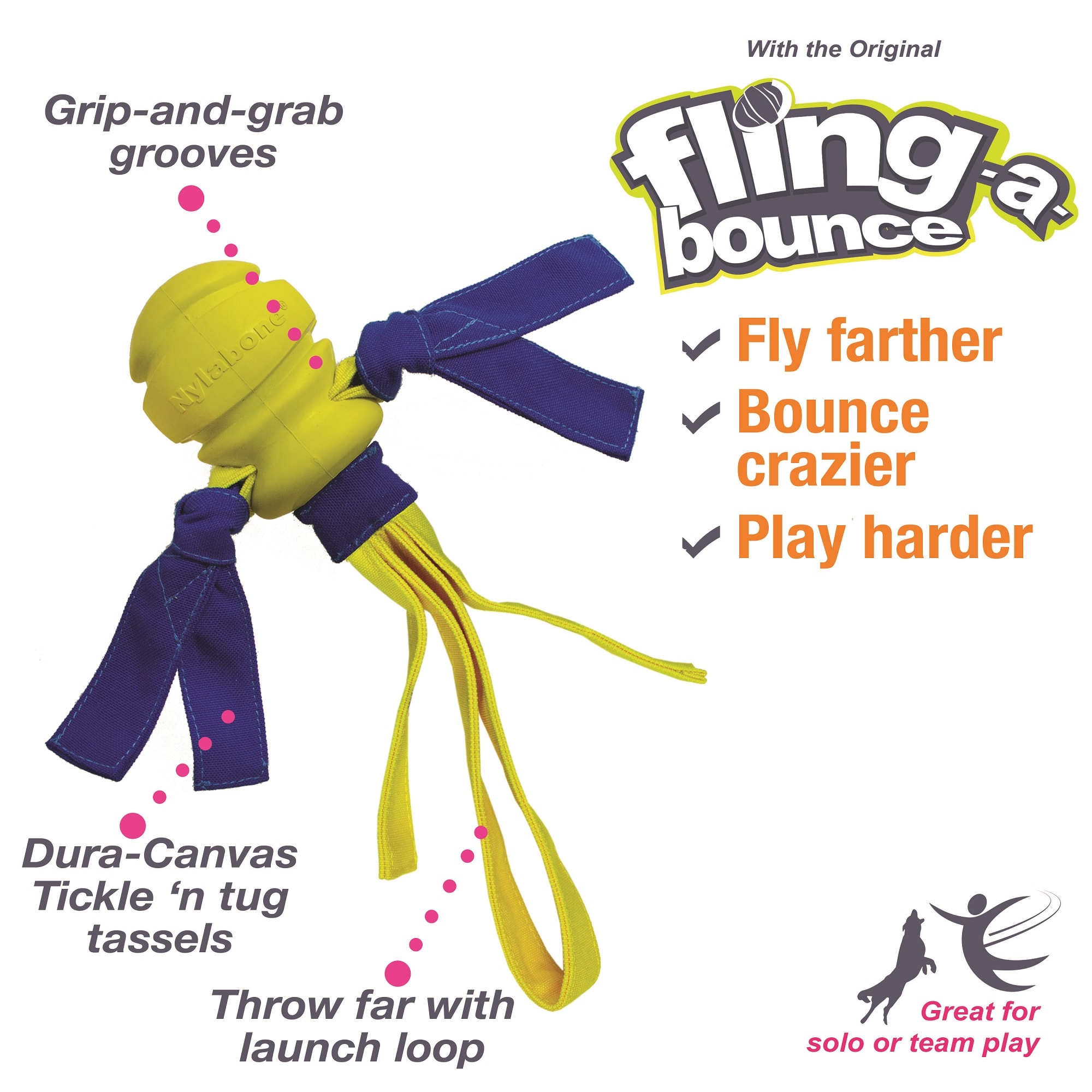 NYLABONE Power Play Fling-a-Bounce Fetch Dog Toy