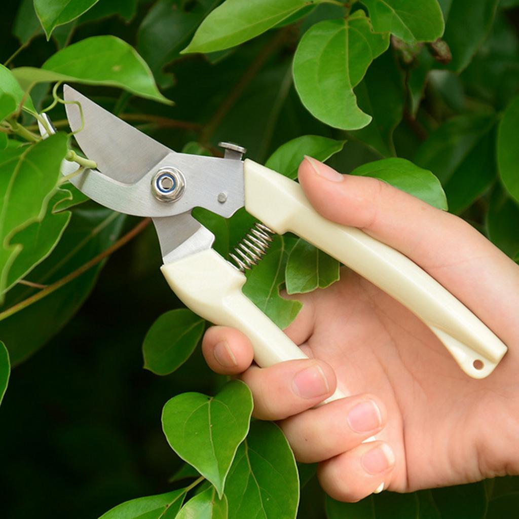 Bonsai Pruning Branch Secateur with Anti-slip Handle Cutting Hand Tools