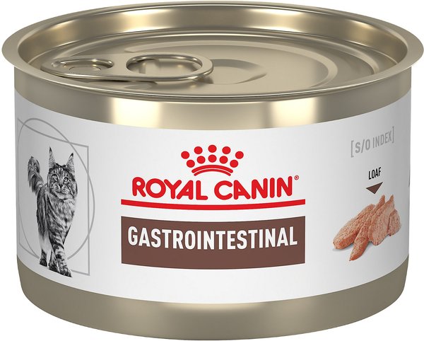 Royal Canin Veterinary Diet Adult Gastrointestinal Loaf in Sauce Canned Cat Food