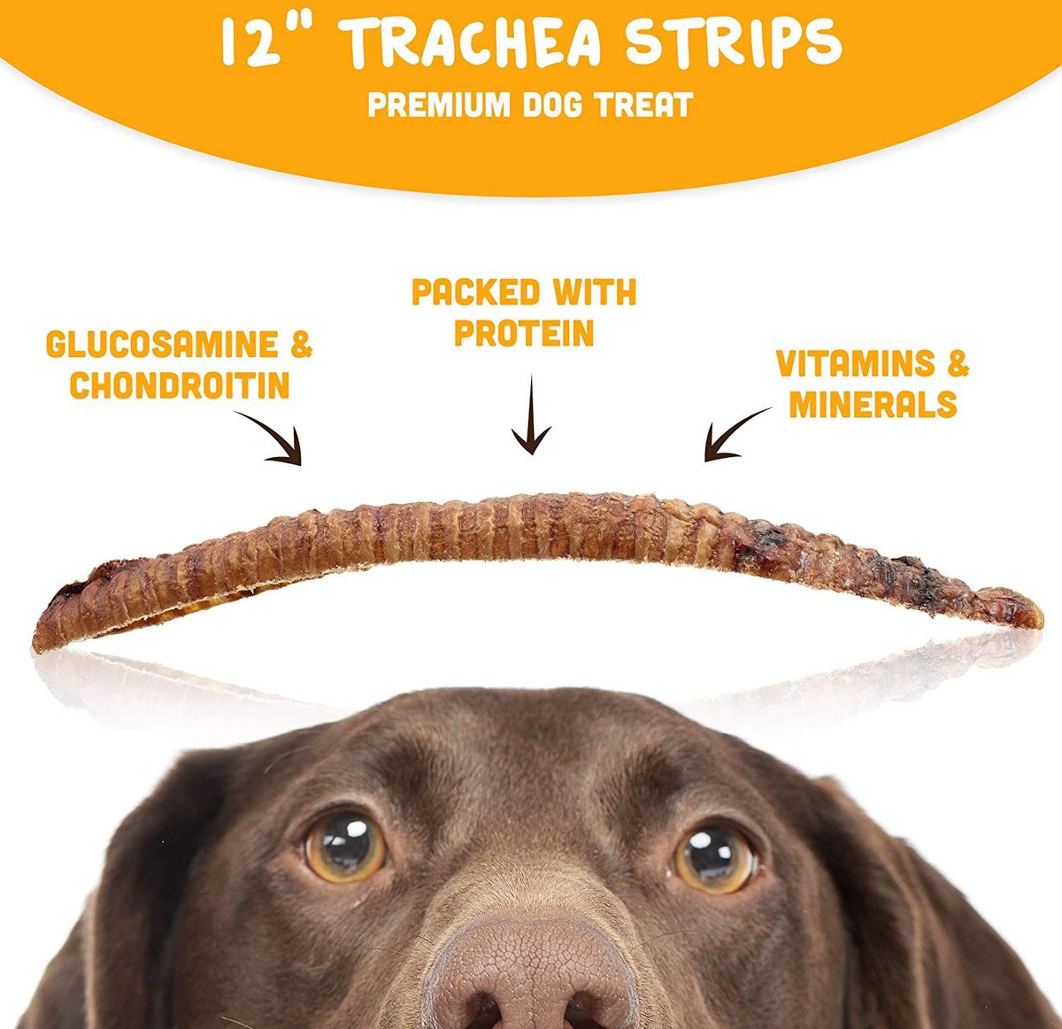 Downtown Pet Supply USA Beef Trachea Strips 12-in Dog Treats