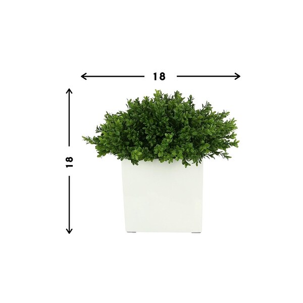 UV Rated Outdoor Boxwood in a Square Fiberstone Pot