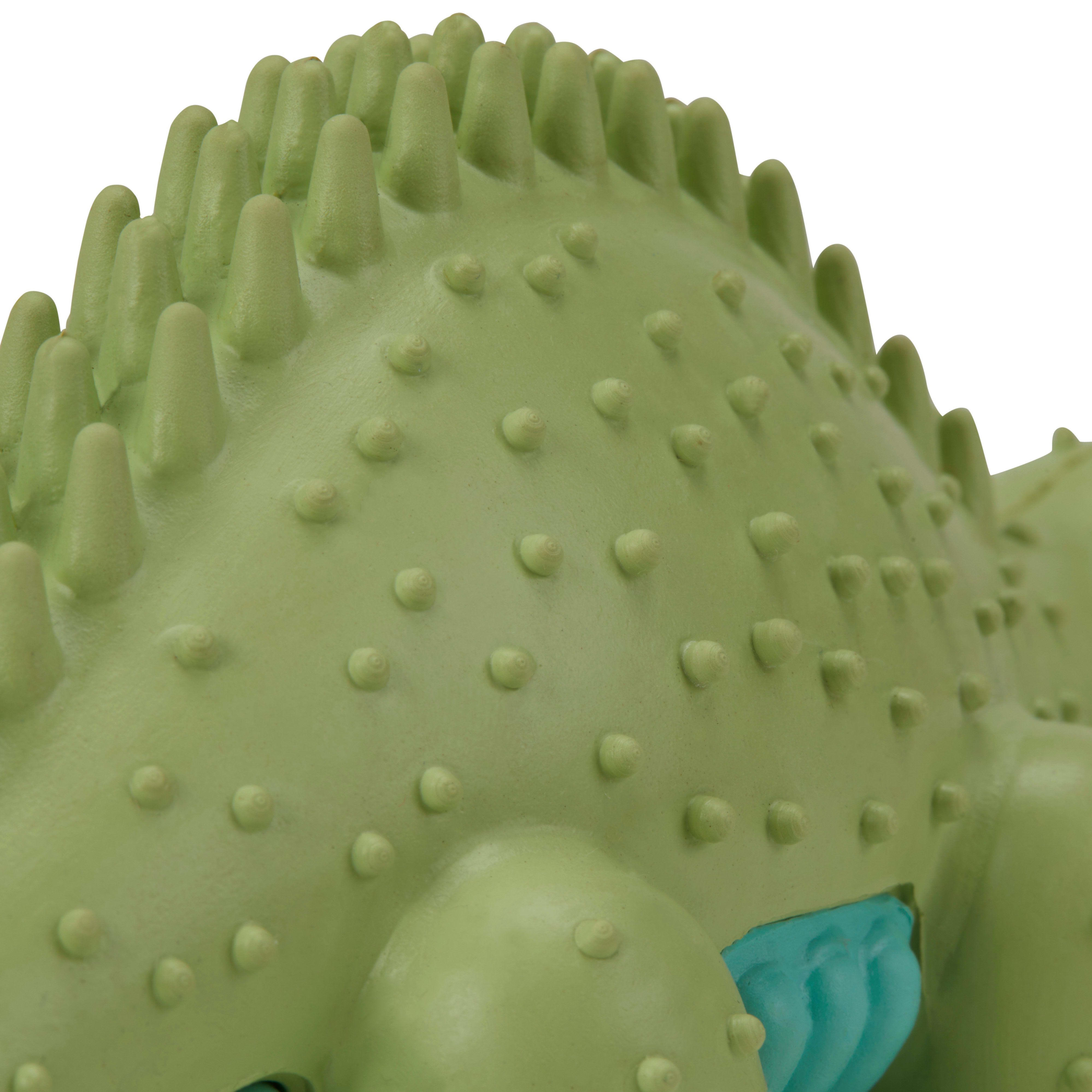 Leaps  Bounds Green Stegosaurus Dental Dog Chew Toy， X-Small