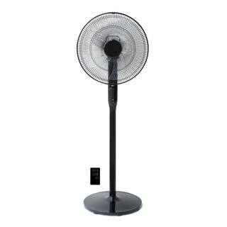 Ecohouzng 16 in. Black DC Pedestal Fan with Remote HUCT440020DE