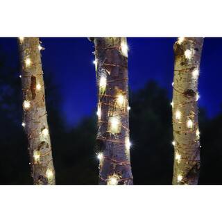 Hampton Bay 16 ft. Battery Powered 50 Bulb Copper Wire IndoorOutdoor Fairy String Light (2-Pack) NXT-1010(2)