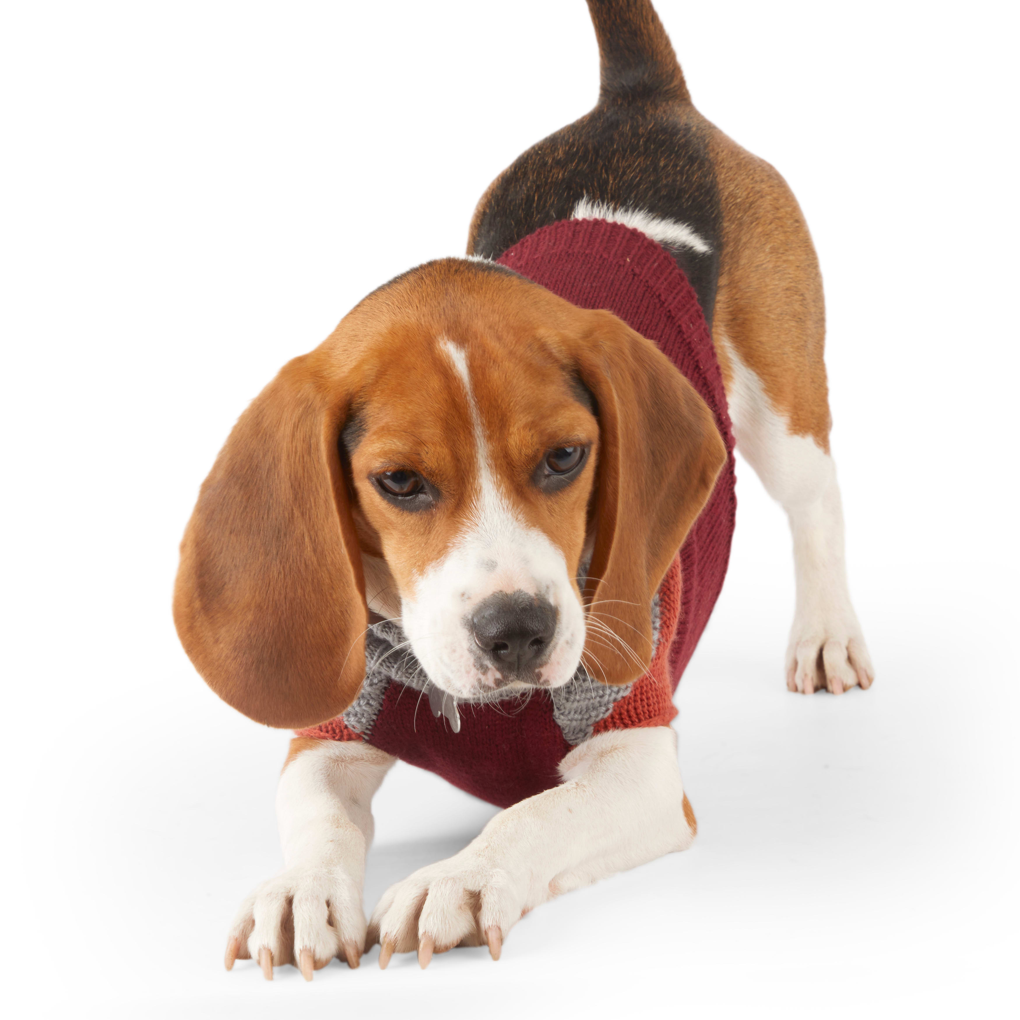 Reddy Burgundy Colorblock Dog Sweater， X-Small