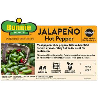 Bonnie Plants 19 oz. Hot Jalapeno Pepper Vegetable Plant 2500