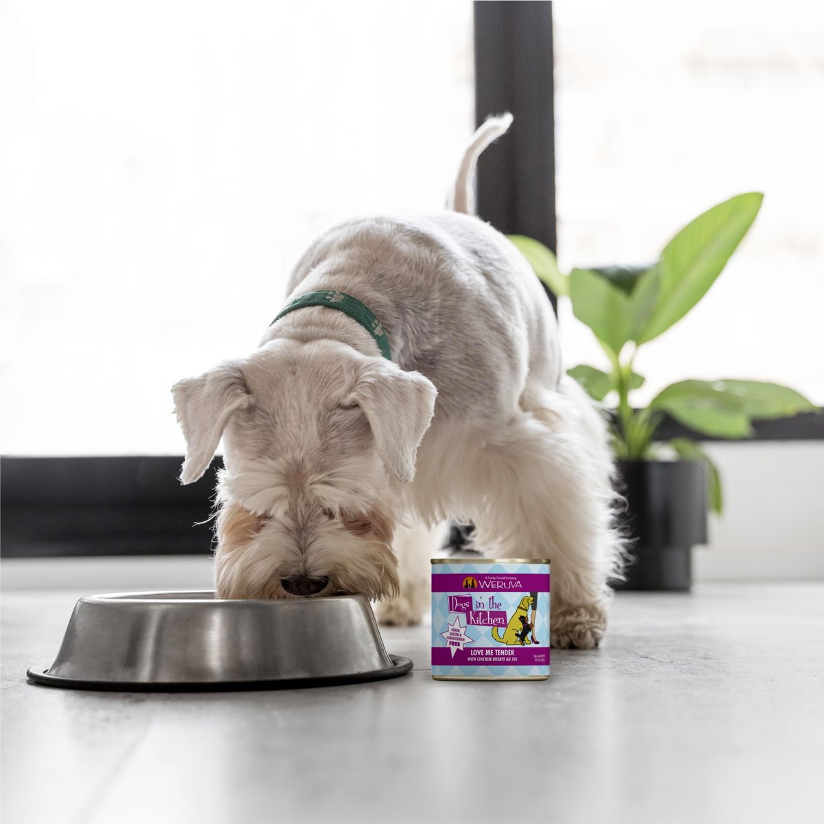 Weruva Dogs in the Kitchen Love Me Tender with Chicken Breast Au Jus Grain-Free Canned Dog Food