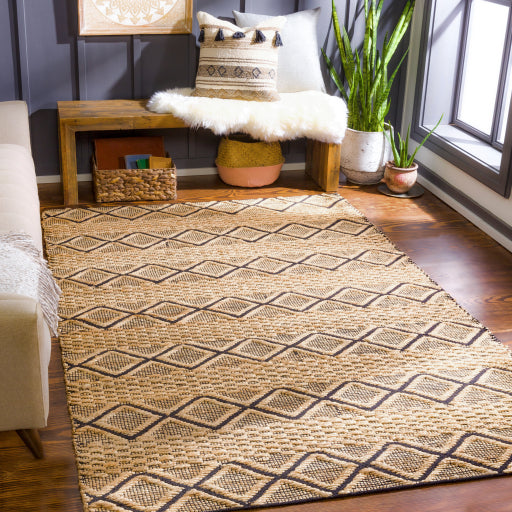 Santa Barbara Rustic Jute Tan Rug