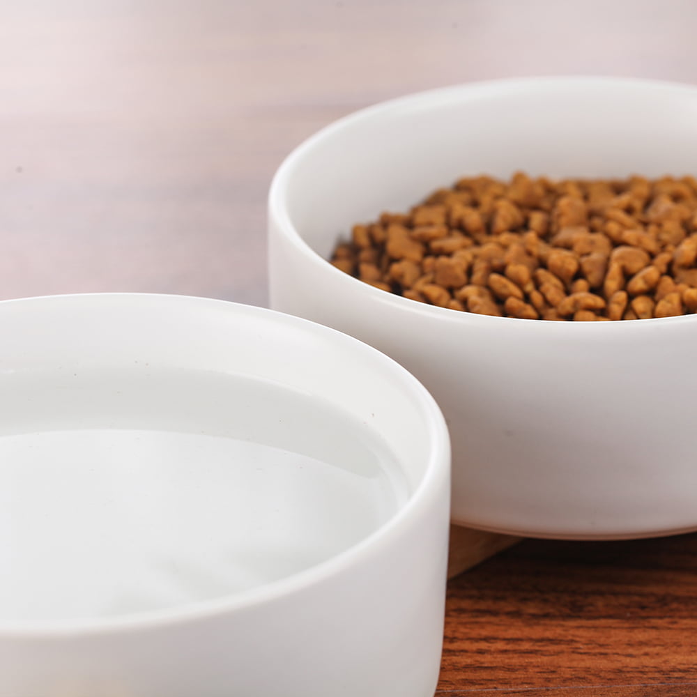 Ceramic Cat Food Bowl Set - Double Cat Bowls with Stand - Dog Food and Water Bowl