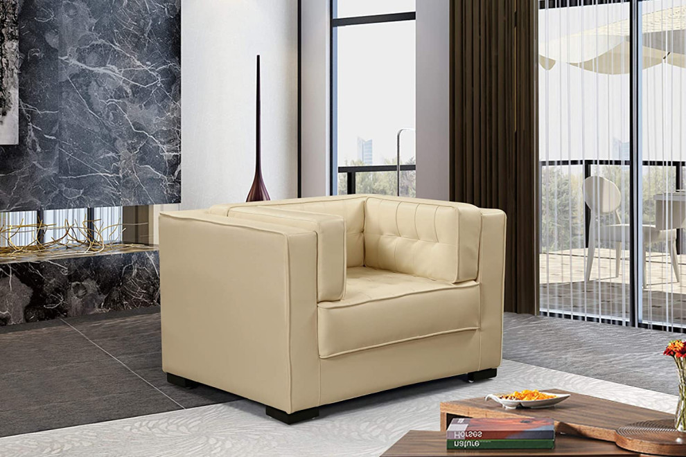 Elegant Accent Chair  Comfortable Tufted Seat  ampShelter Arms   Transitional   Armchairs And Accent Chairs   by Decor Love  Houzz