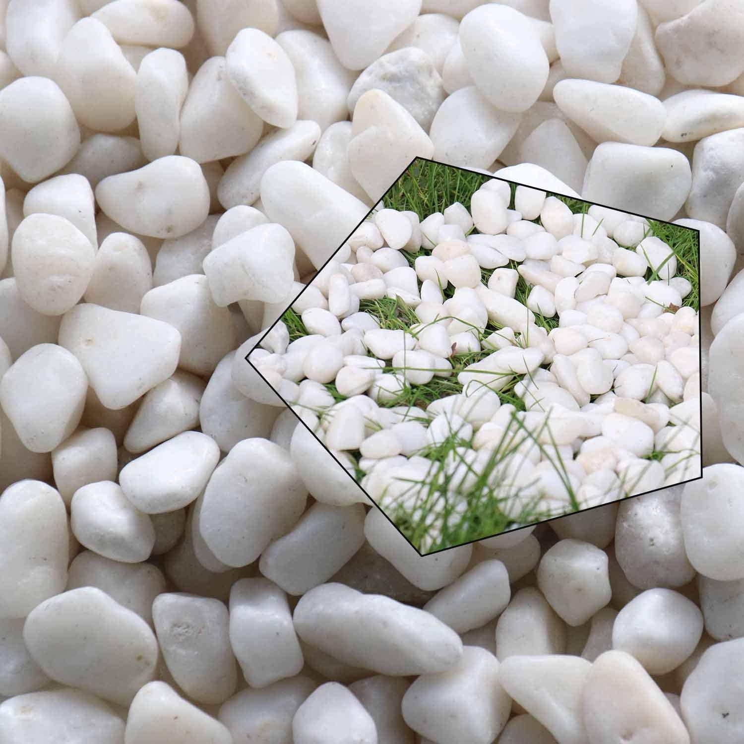 Koltose by Mash - Polished White Bean Pebbles, 0.5 Inch Natural Decorative Stones, 10 lbs