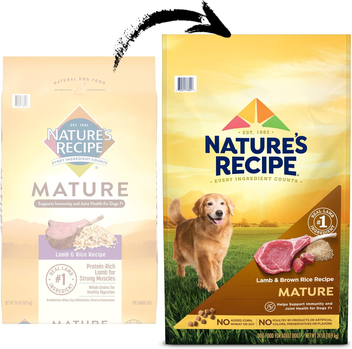 Nature's Recipe Mature Lamb and Brown Rice Recipe Dry Dog Food