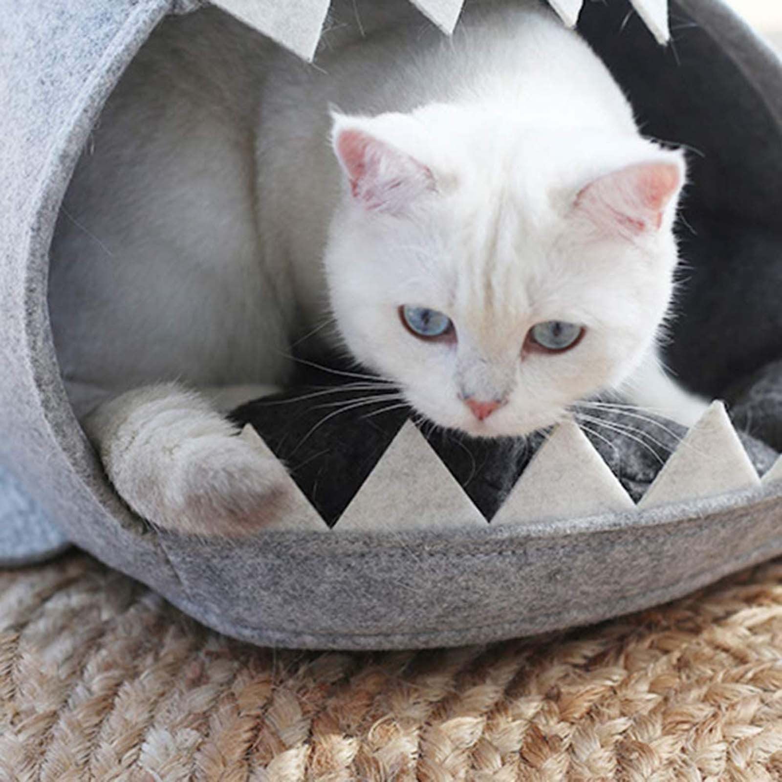 Pet Soft Dog House for Small Dogs Cat High Quality Cotton Warm Shark Puppy Kitten Foldable Bed Tent Pet Products