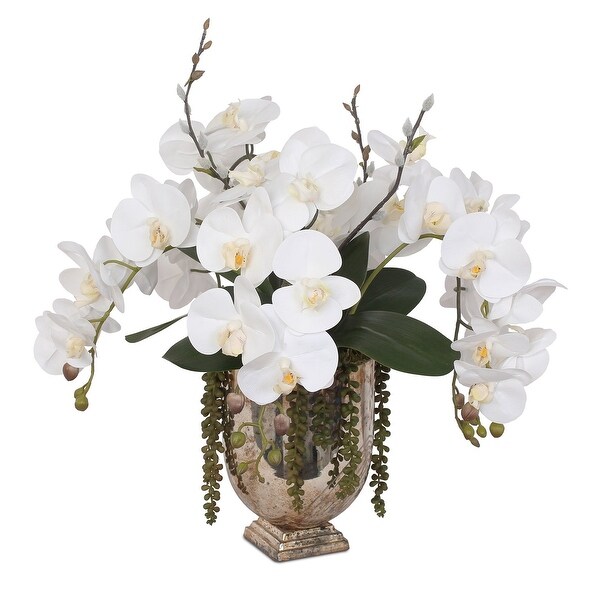 Real Touch White Phalaenopsis Orchids with String of Pearls in Vase