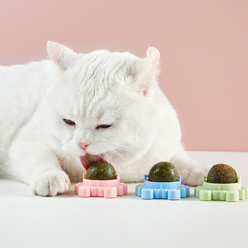 Crab Catnip Ball Toy