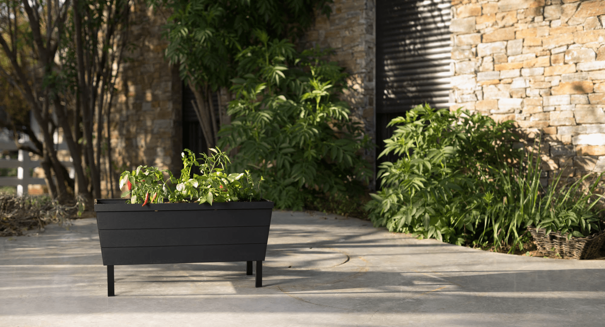 Keter Short Urban Bloomer, 32.3" x 14.7" x 15.9" Resin Garden Planter, Black